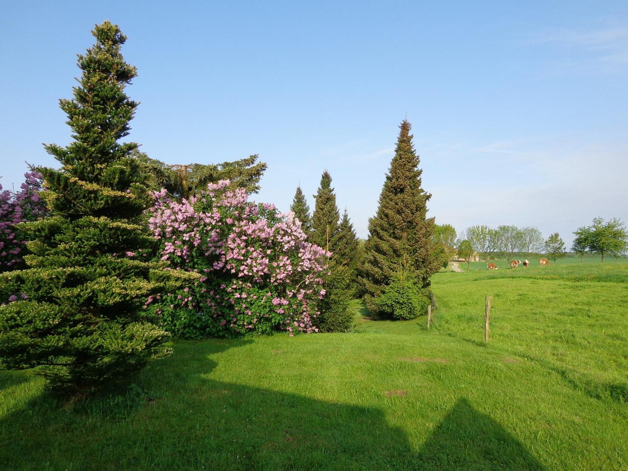 Pension Sonnenhuegel Markersdorf 외부 사진