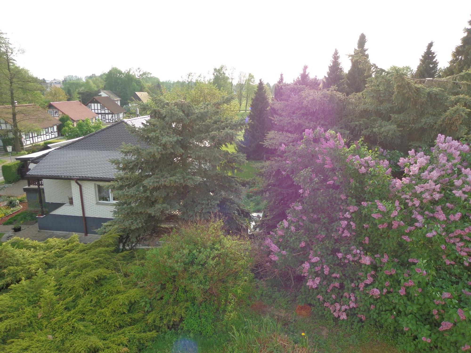 Pension Sonnenhuegel Markersdorf 외부 사진